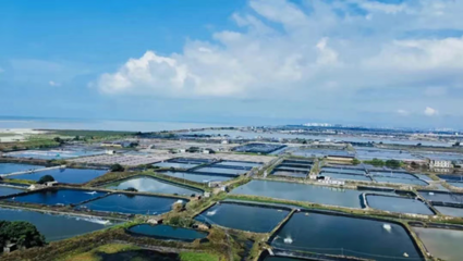 中國農業(yè)大學教授張正河:&ldquo;鍋圈模式&rdquo;有力推進農村&ldquo;三產融合&rdquo;