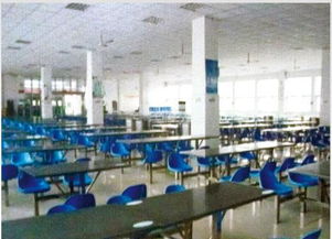 河南微笑餐飲管理公司閃耀中國食品春晚，榮膺優(yōu)秀品牌彰顯卓越管理