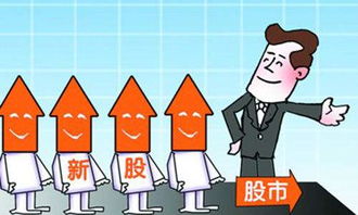 華陽集團(tuán)(002906)新股申購中簽率解析與中簽號(hào)碼查詢指南